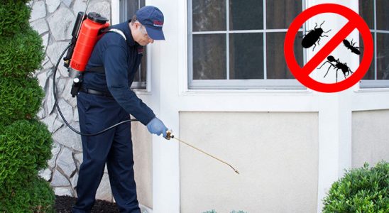Sapanca Bit İlaçlama böcek ilaçlama ve haşere kontrolü — ilaclama-tr.com